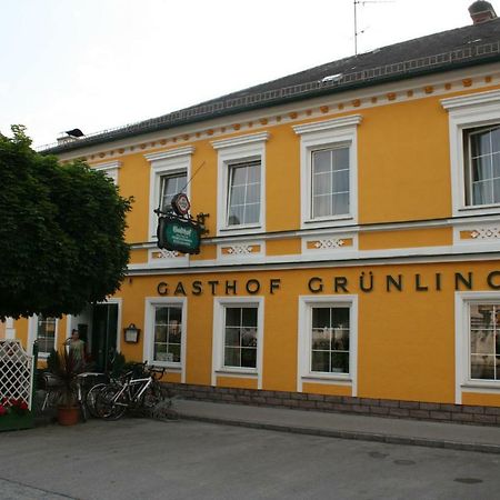 Gasthof Gruenling Wallsee Εξωτερικό φωτογραφία